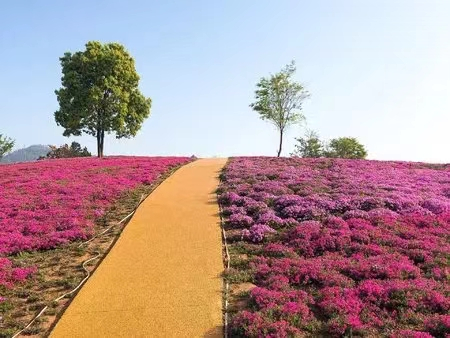 花間樂園